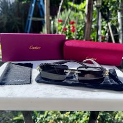 Cartier Buffs Sunglasses 