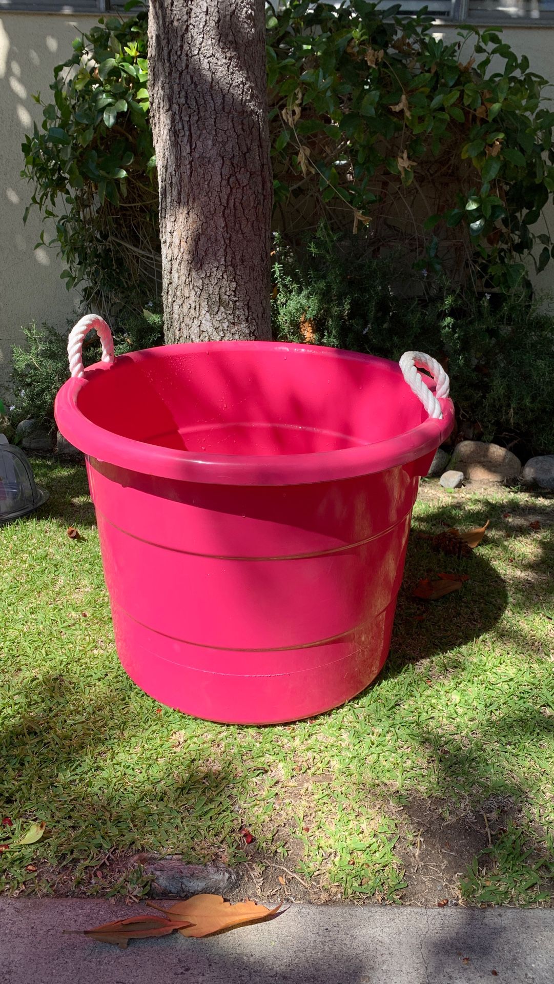 Hot pink drink tub