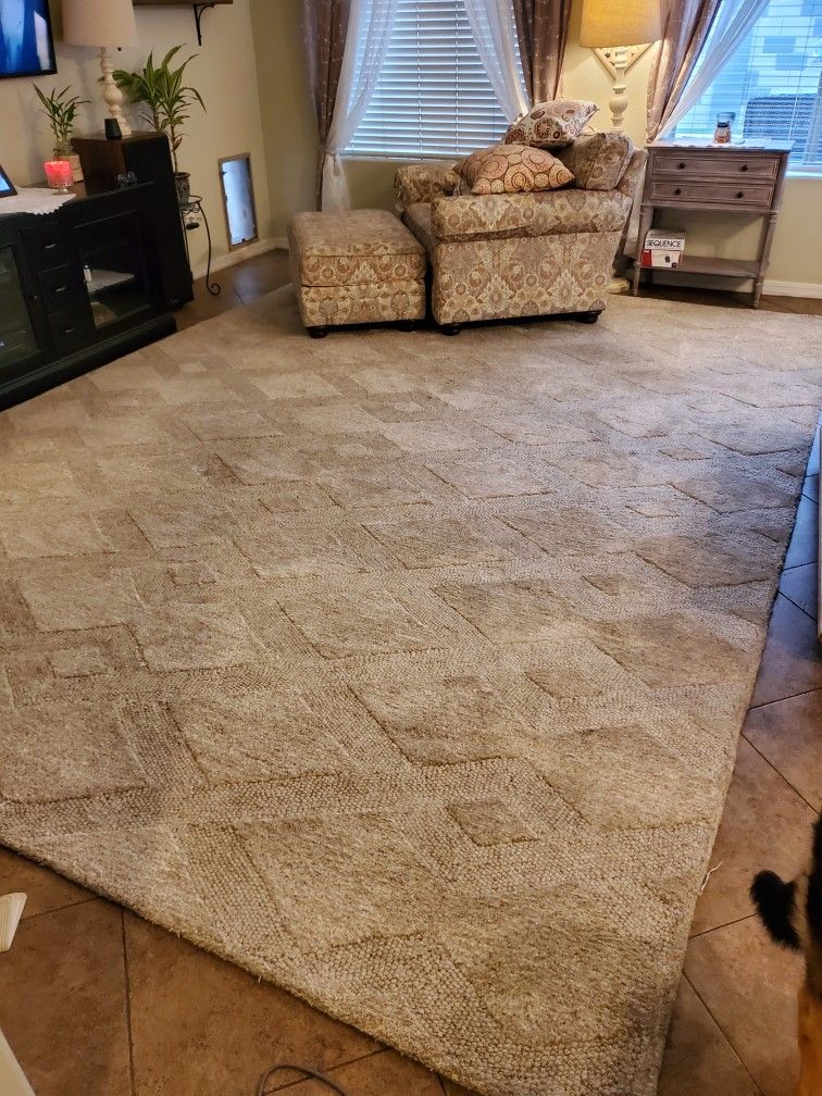 10x14 Tan / Cream / Beige Rug Pottery Barn