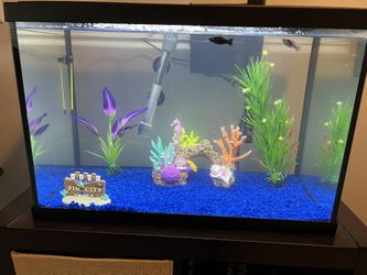 Complete 20-gallon Aquarium .