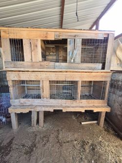 Rooster cage