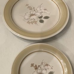 Vintage Set Of IMPRESSIONS by DANIELE.  Dinner, Side And Soup Plates.  Stoneware. COUNTRY DAY Pattern