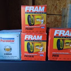 Oil Filters 