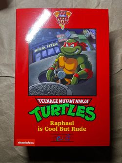 NECA Rafael is Cool But Rude Figure (Some accessories missing)