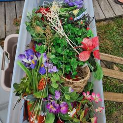 Random Assortment Of Flowers