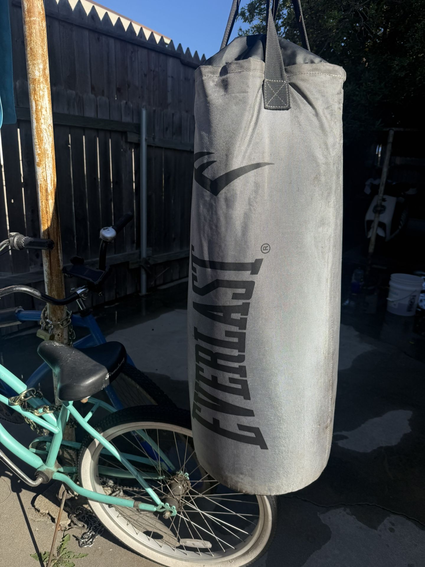 Everlast punching bag