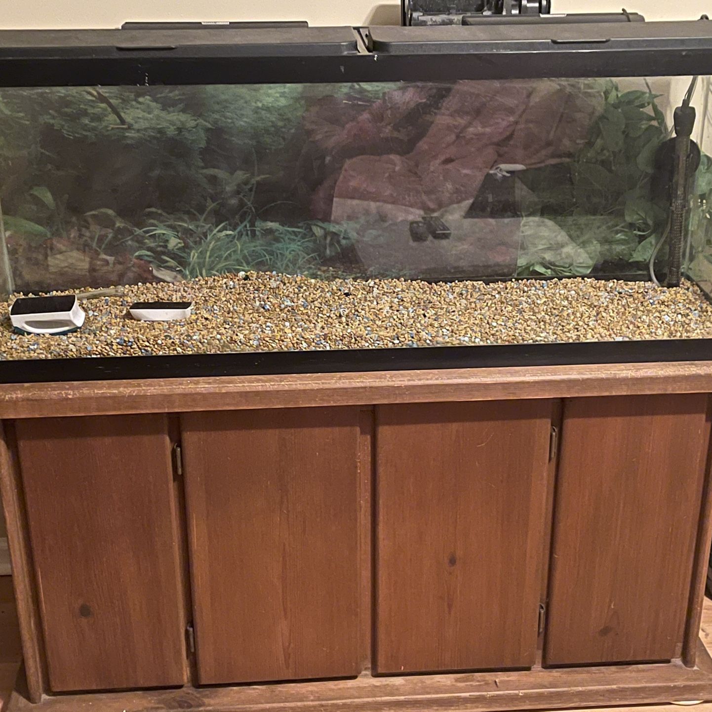 50 Gallon Fishtank With Stand And Filters