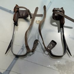 Buckingham Tree/pole Climbing Spikes With TPADS