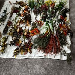 Crafts Floral Stems Flowers