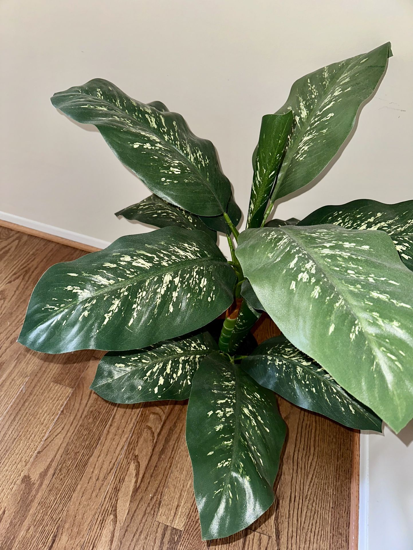 Gorgeous Fake Plant 🪴