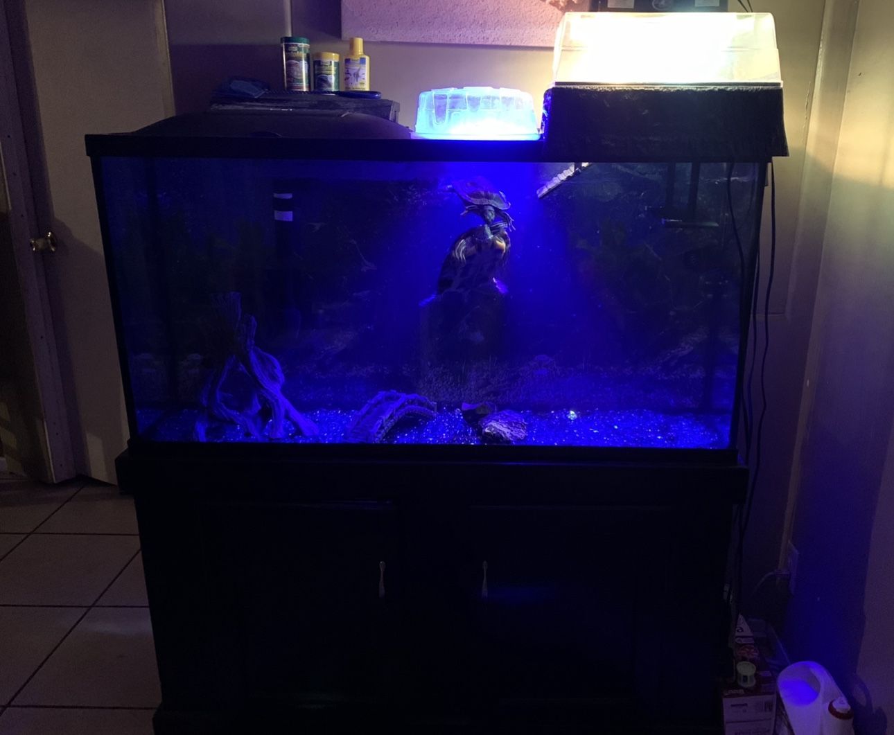 Fish/Turtle Tank 