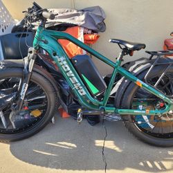 Hovsco Fat Tires E-Bike