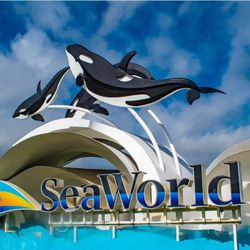 Guest Exchange Zoo Sea World