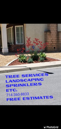 Trees And More