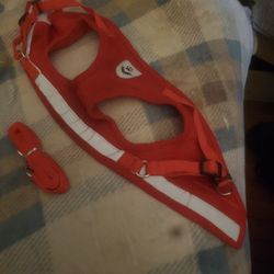 Small Harness And Leash