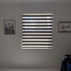 Zebra Blinds