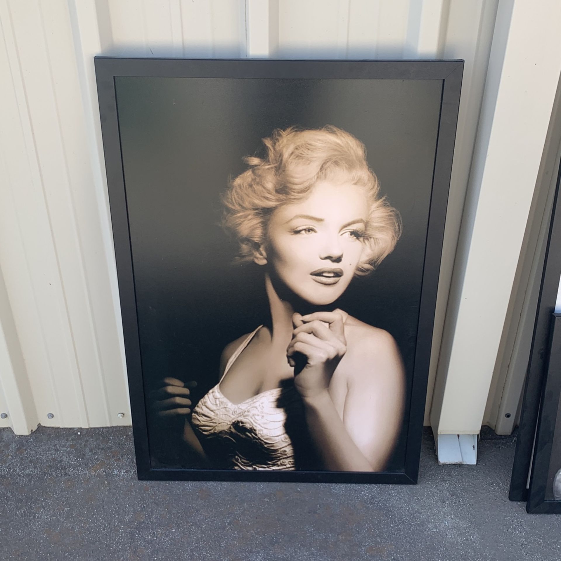 Marilyn Picture