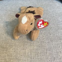 Derby Beanie Baby 