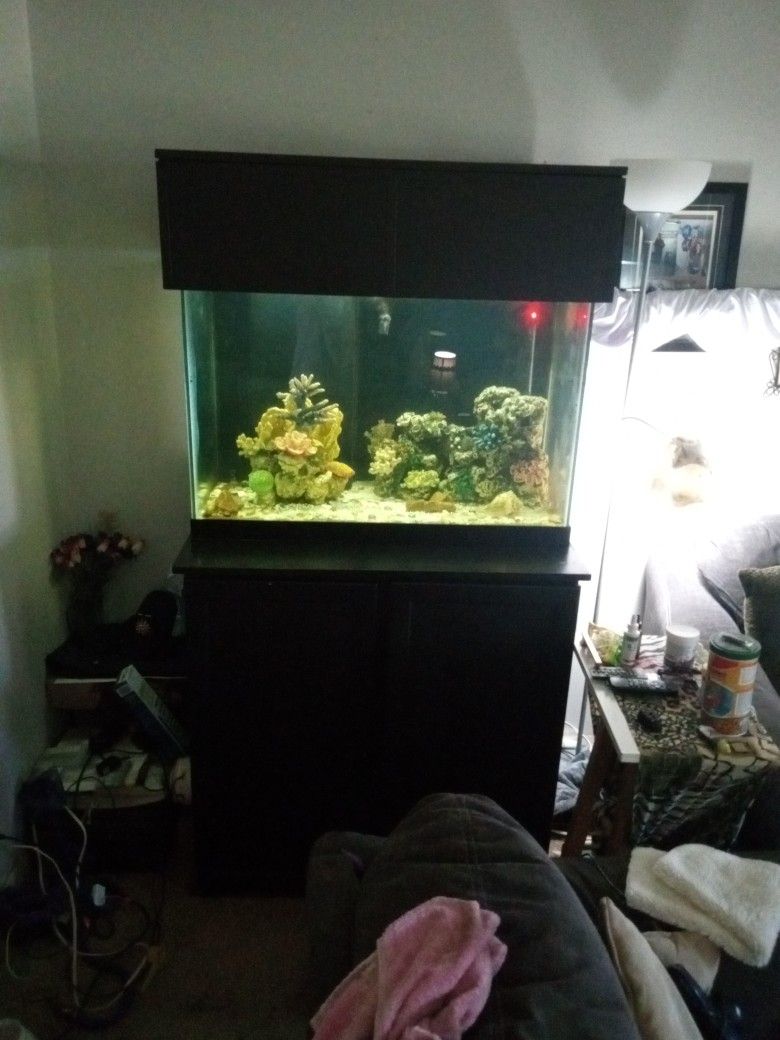 Aqueon 65 Gallon Reef Ready Aquarium 