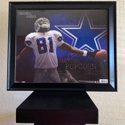 Dallas Cowboys Terrell Owens T.O. Frame