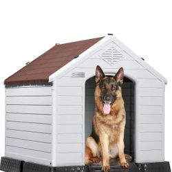 Dog House