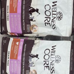 Wellness Core Cat 