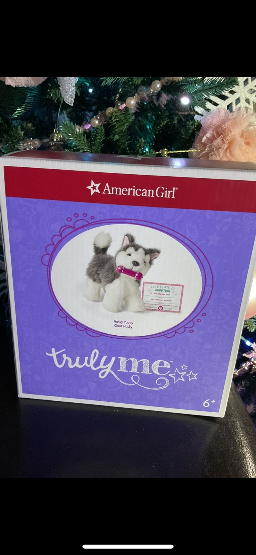 American Girl. Dog