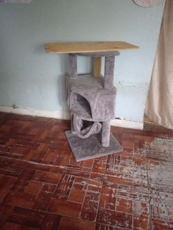 Cat Playground 