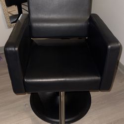 Salon Chair