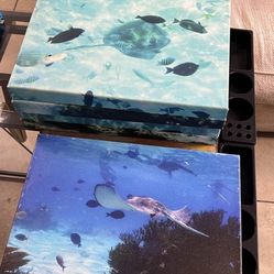 Custom Paint Prints 