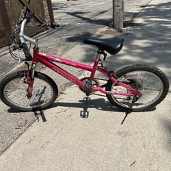 Girls Magna Mountain Bike 20”