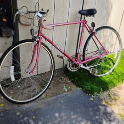 Schwinn Bike Vintage 80"