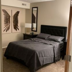 Raven Wing 2 Piece Set - Wall Art /Decor