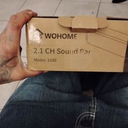 Wohome  Home Theater Sound BR