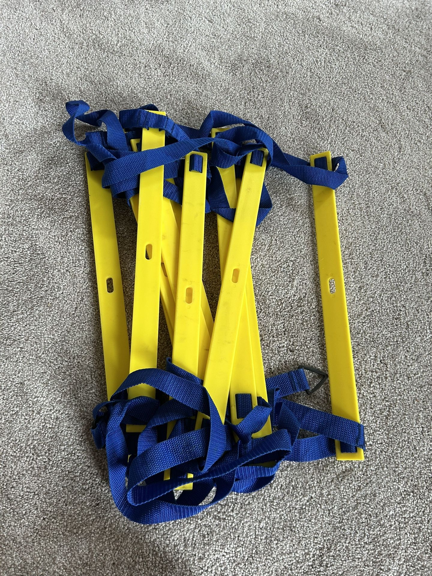 Speed Ladder