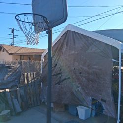 Lifetime Basketball Hoop Stand Outdoor