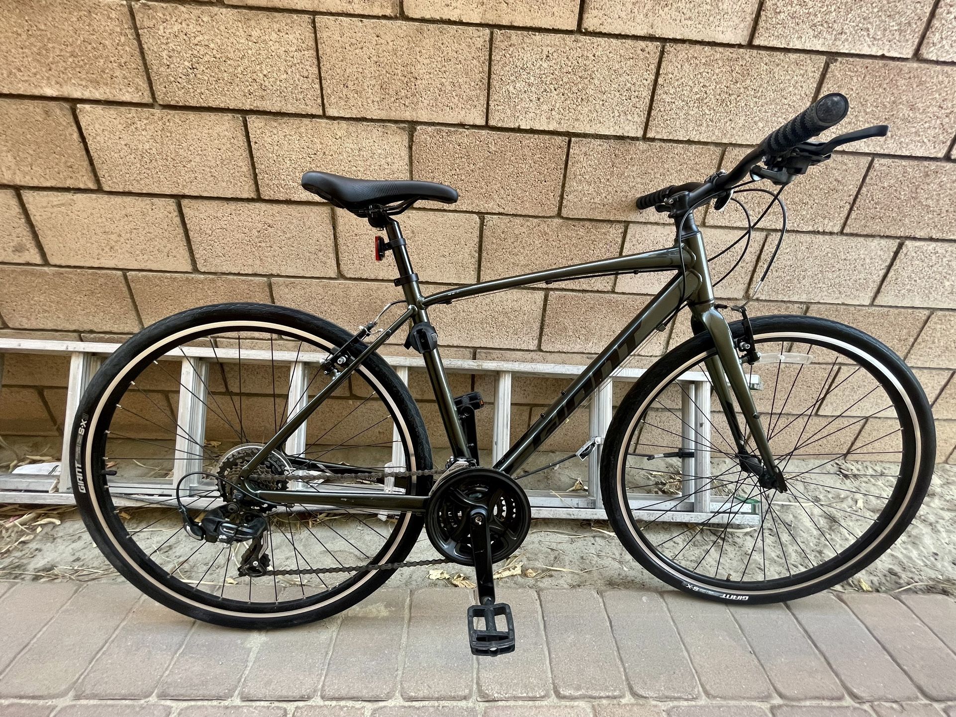 Giant Bicycle Escape Model