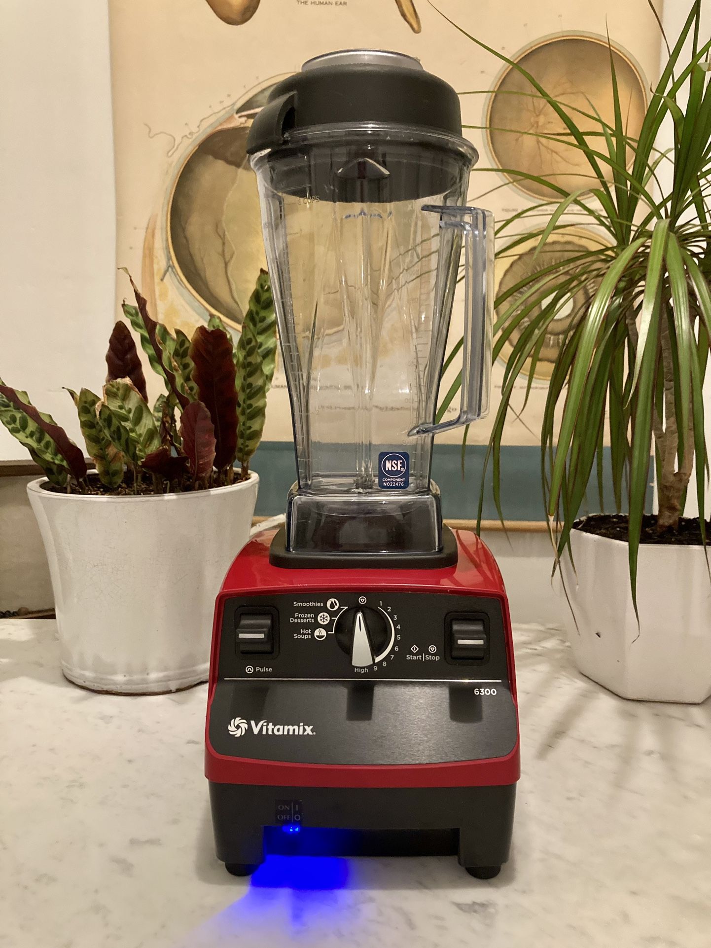 Vitamix 6300 Professional Blender (EXCELLENT CONDITION)