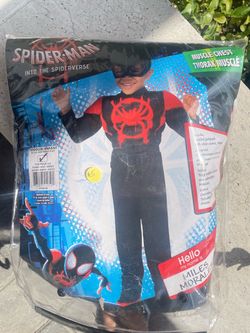 Spider Man costume
