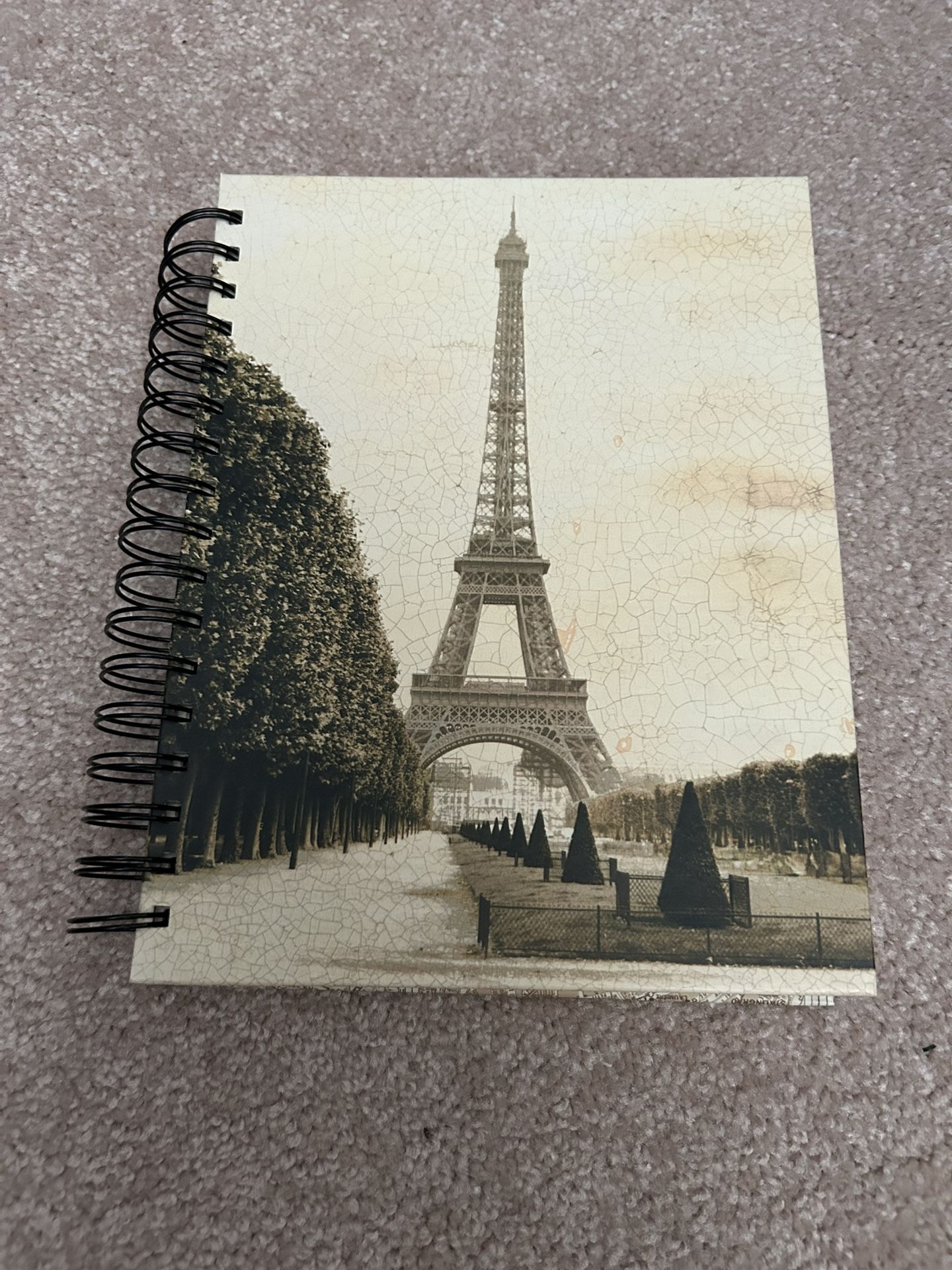 Paris Travel Journal
