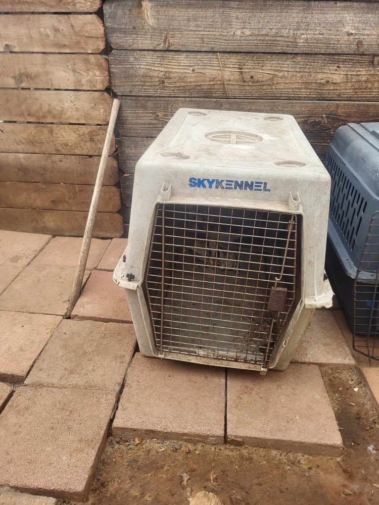 Dog Kennel