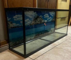 55 Gallon Rectangular Fish Tank