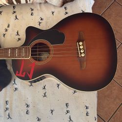 Bajoloche/ Acoustic Base