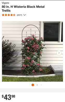 Plant trellis