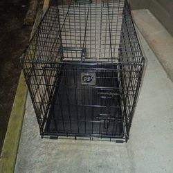 Dog Kennel 