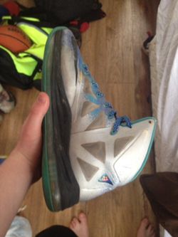 Lebron 10 pure plats