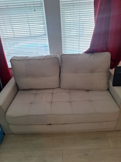 Wayfare Pull out bed all in one New never been sat on or slept on...I paid 400 at Wayfare....
