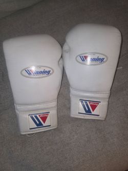 Boxing gloves winning