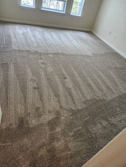 Carpetass