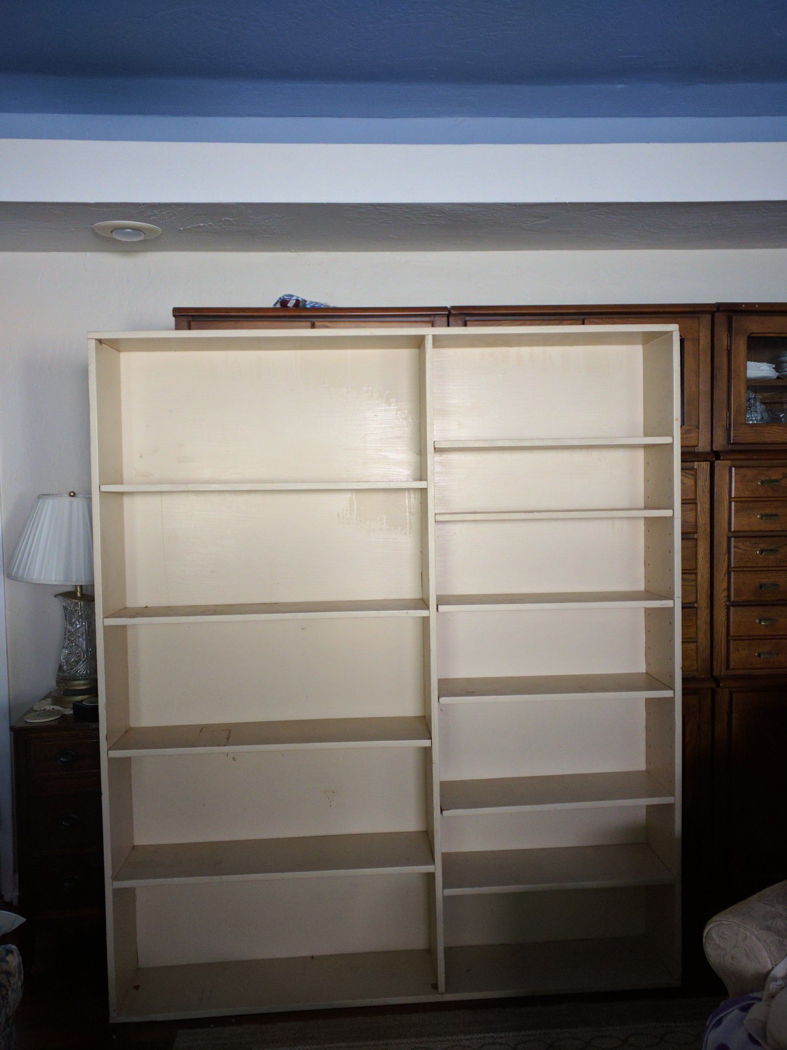 Bookcase or Storage Shelving